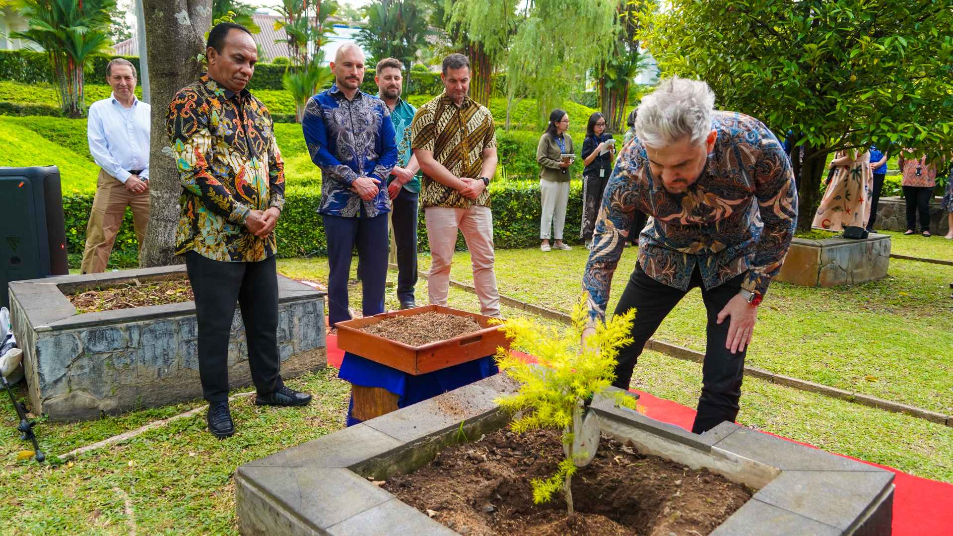 tree planting pak aby